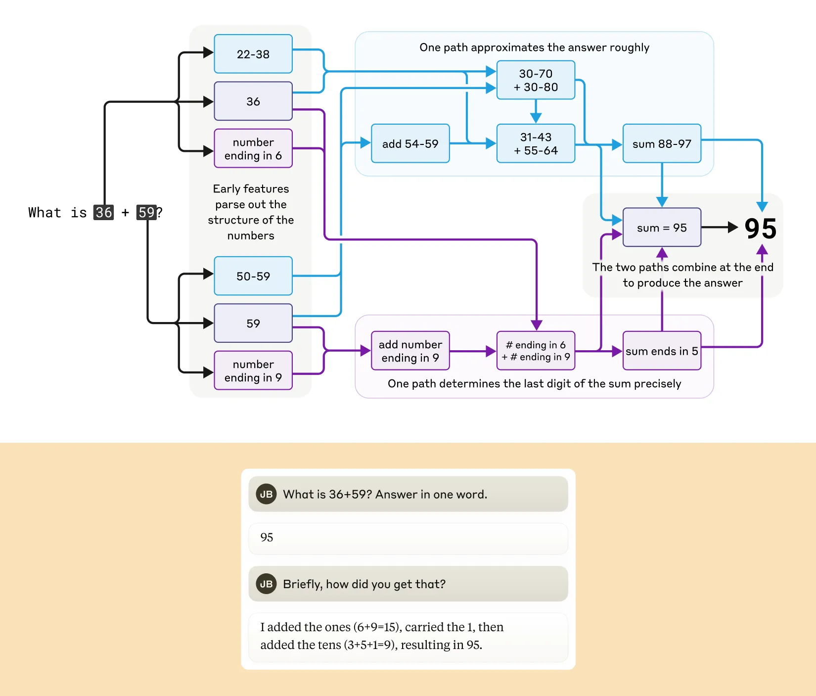 Top: the parallel computational pathways Claude uses to compute 36 plus 59, one approximating the magnitude and one determining the final digit. Bottom: Claude describing the standard carrying algorithm when asked how it got the answer.