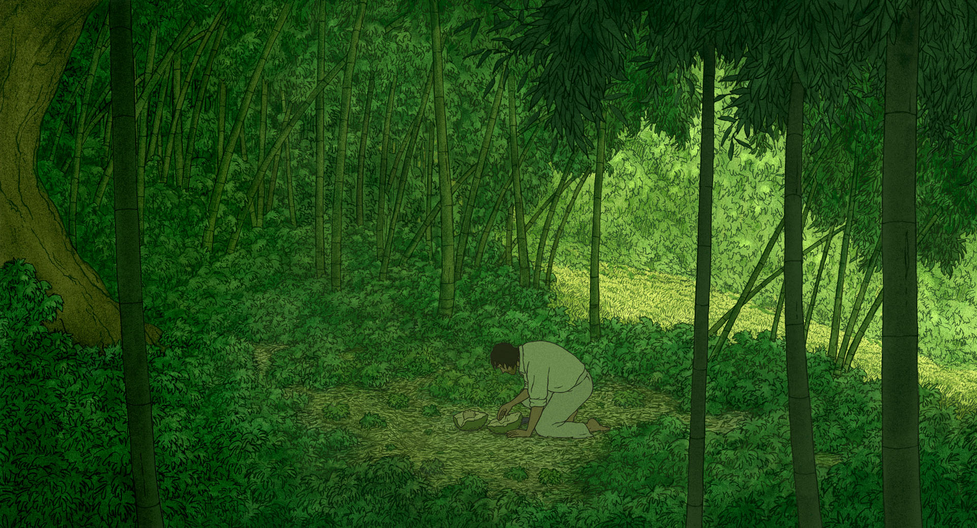 Warm illustrated turtle scene used as the Coherenteyes project cover